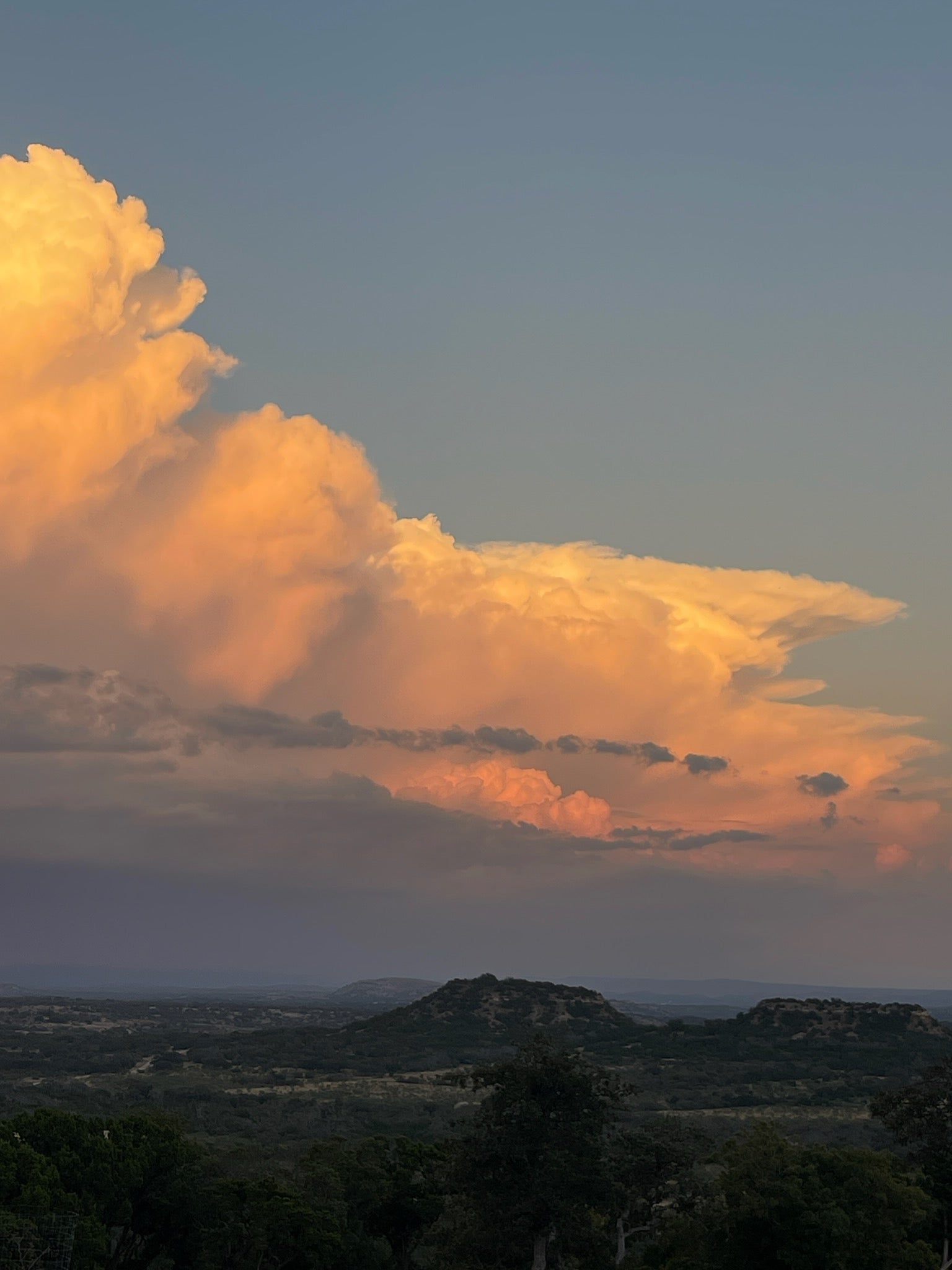 View from Fredericksburg Flower Farm - Texas Hill Country Flowers